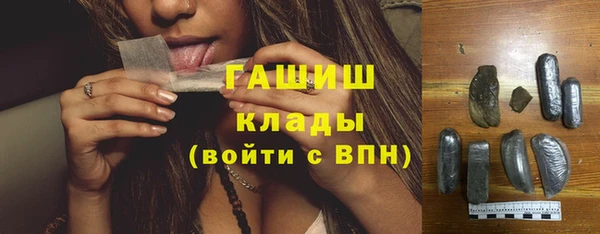 сатива Бородино