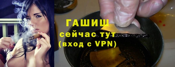 сатива Бородино