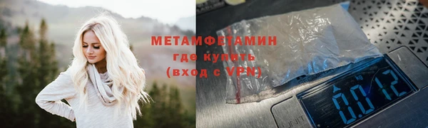 сатива Бородино