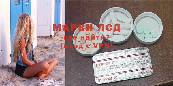 сатива Бородино