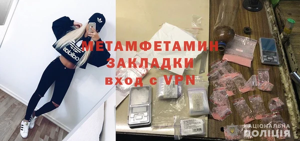 сатива Бородино