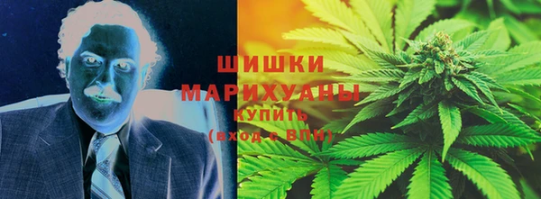 сатива Бородино
