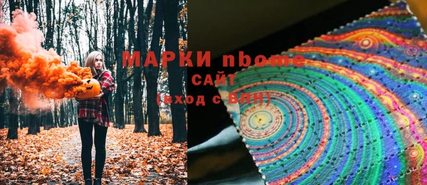 сатива Бородино