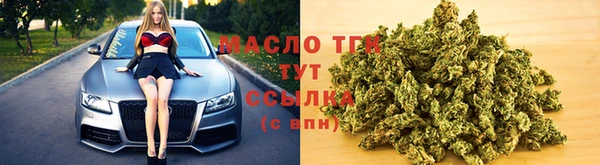 сатива Бородино